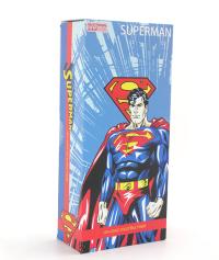 Dc Superman Aksiyon Figürü 31 Cm (Özel Kutulu) Alk6624