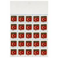 Türk Bayrağı ve Türkiye Yazılı Rozet (30'lu)